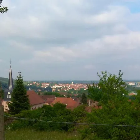 Maison De Charme à Avec Piscine Privée Et Jardin * Wangen