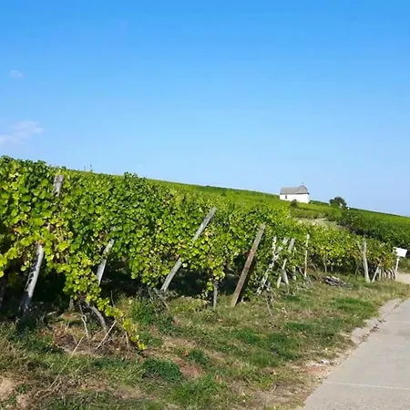 Casa de Férias Maison De Charme à Avec Piscine Privée Et Jardin Wangen