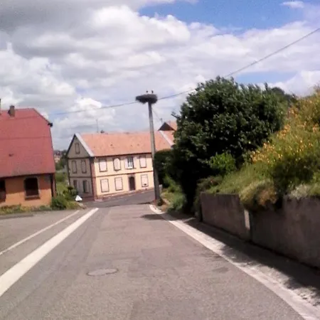 Maison De Charme A Avec Piscine Privee Et Jardin Wangen